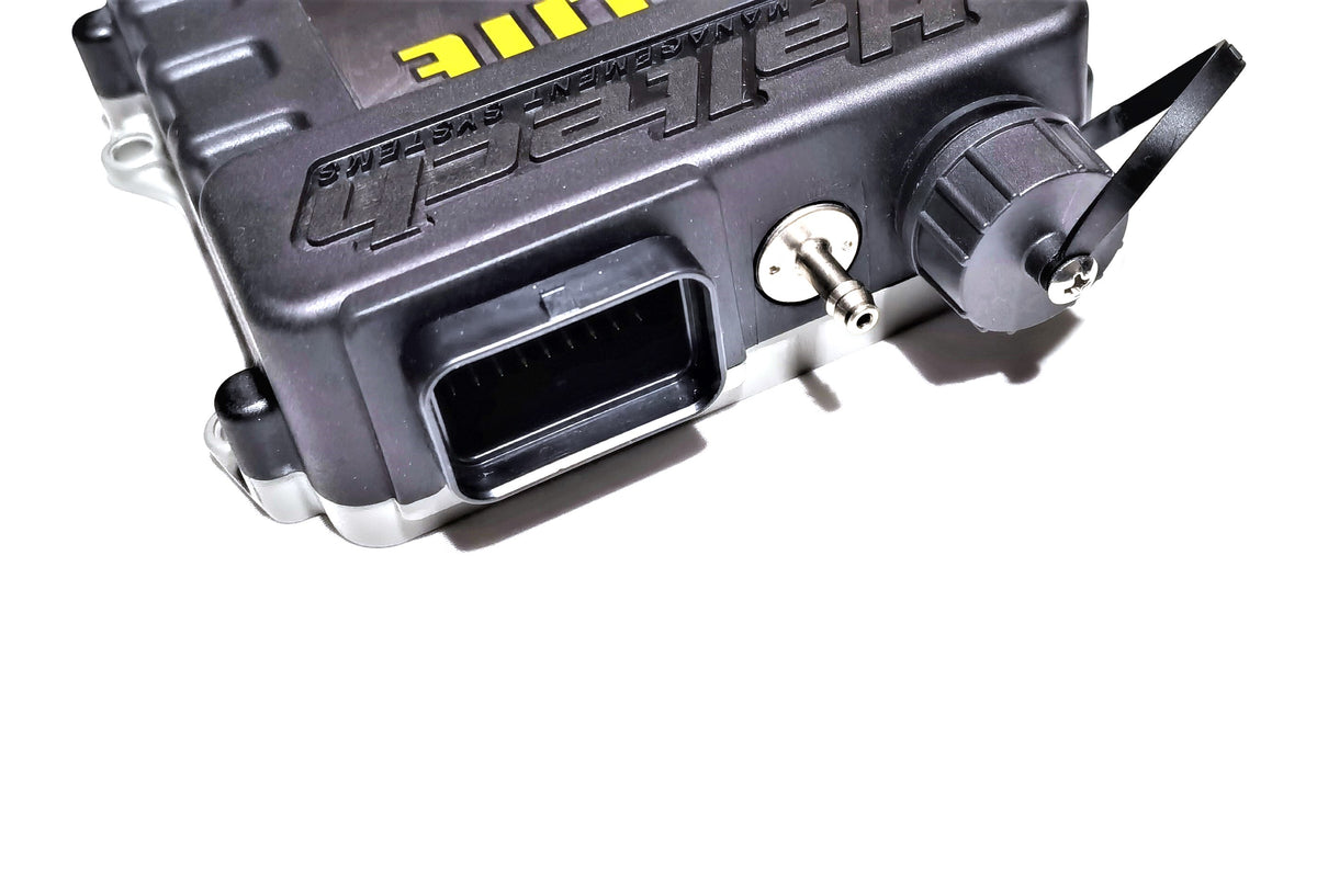 ゆん Yarn Citizen Quiet Morning Hood Kit