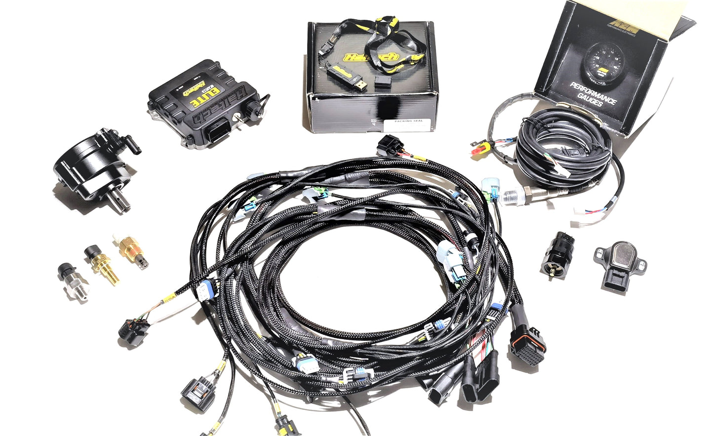 Haltech Elite 750 + Plug & Play Harness Package for Datsun Z L