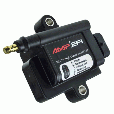 Pro 1 Ignition Module Ignition System – Pro TunerZ